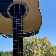 Mother Nature's Son (The Beatles Cover)