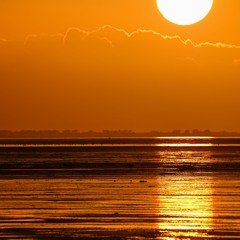 Dusk Spectacular
