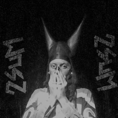 PLAYBOI CARTI - EVIL JORDAN (2SUM FLIP)