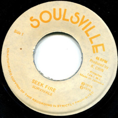 The Survivals- Seek Fire