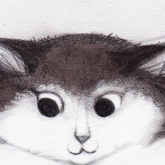 Dance of the Lost Cat