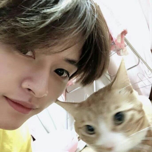 all in stray kids (sped up)