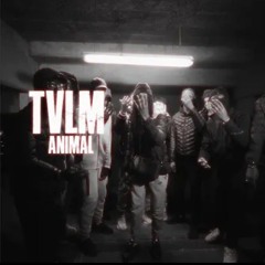 TVLM - Animal