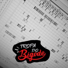 MEGA EMBRAZADONA - [ DJ VINICIN SOUSA & DJ VK MARTINS ]