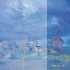 bluebird