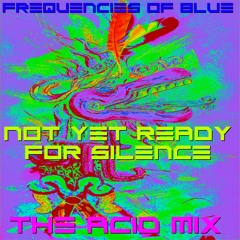 Not Yet Ready For Silence  (The Acid Mix)