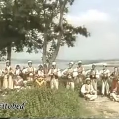 Behar Neli