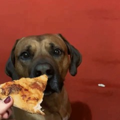 Yo Its Like Im That One Guy From That Rooms Album