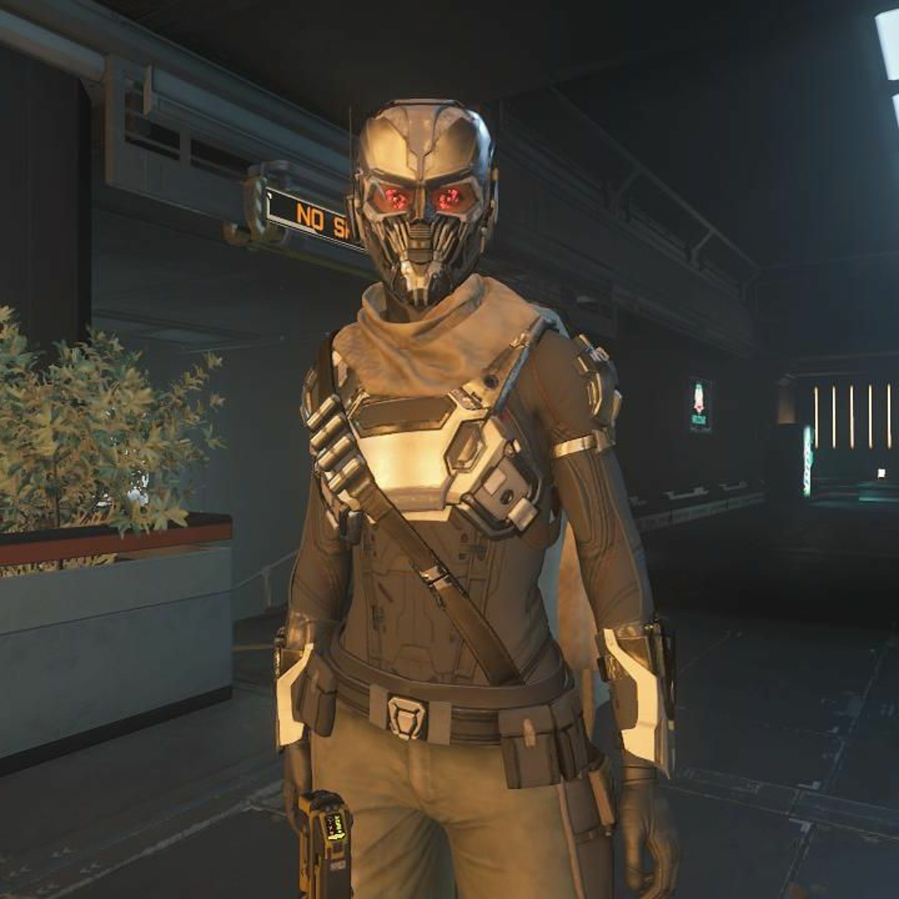A Gamer's Musings - Simple Pleasures in Star Citizen