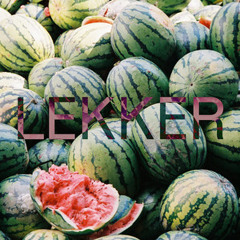 Lekker Records - Official Playlist