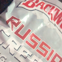 Shawny Binladen - Never Stop