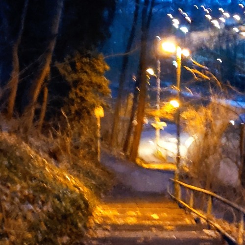 SentiToro (Original Mix)