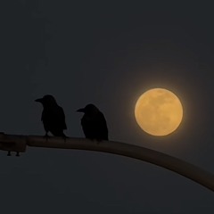 Ï Čänť Feëł My Fäċë