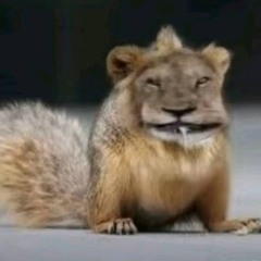 YOUNG MUS$$AEV BIZNES 2