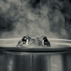 Boiling Frog
