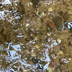 Zyklus Materialität (Bern 2024)