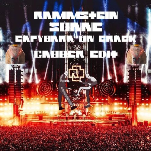 Rammstein - Sonne (CAPYBARA ON CRACK GABBER EDIT)