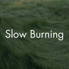Slow Burning