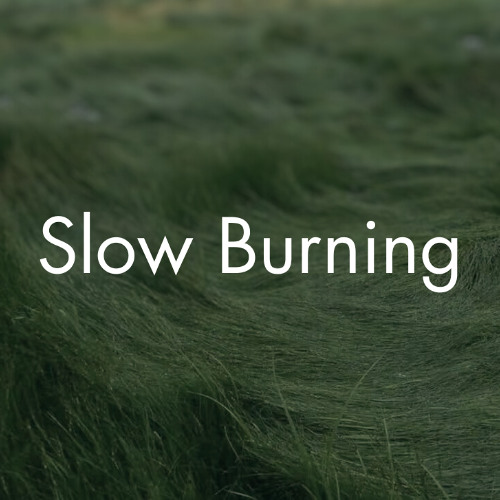 Slow Burning