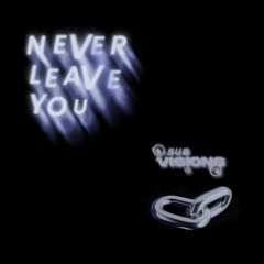 Subvisions - Never Leave You (Extended Mix)