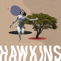 HAWKINS MIX | 01