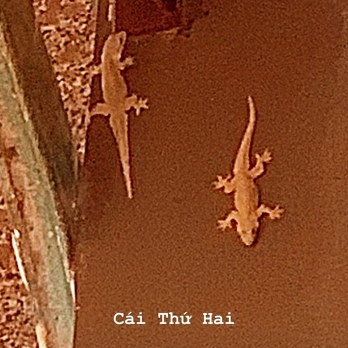 có nhau