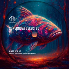 Supernova Selected Vol. 8 - R.Hz