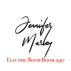 290 Electric Boom Boom