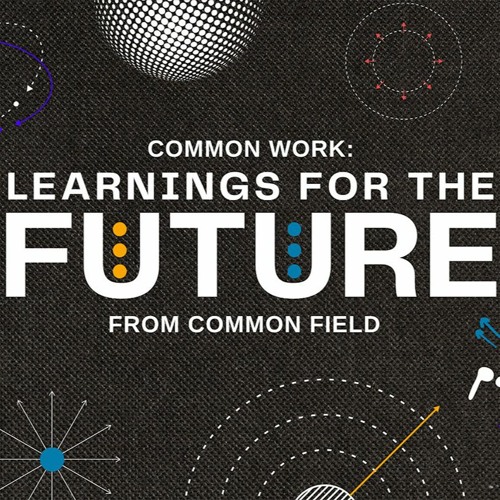 Common Work: Learnings for the Future from Common Field (2022)
