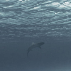 did i relapse early demo