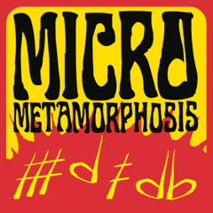 Micro Metamorphosis