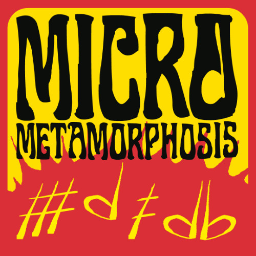 Micro Metamorphosis