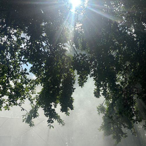 Milio at Sisyphos Beach - 03.08.25