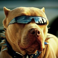 19432[HIGH ON FATTEK] @ *GOD MORGEN//NICEDROPS*