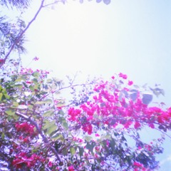 penso demais w/ aziza