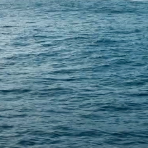 Tiếc Rằng Em Không Đủ Mạnh Mẽ - Hồng Ngọc