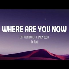 Lost Frequencies - Where Are You Now (Vk remix)
