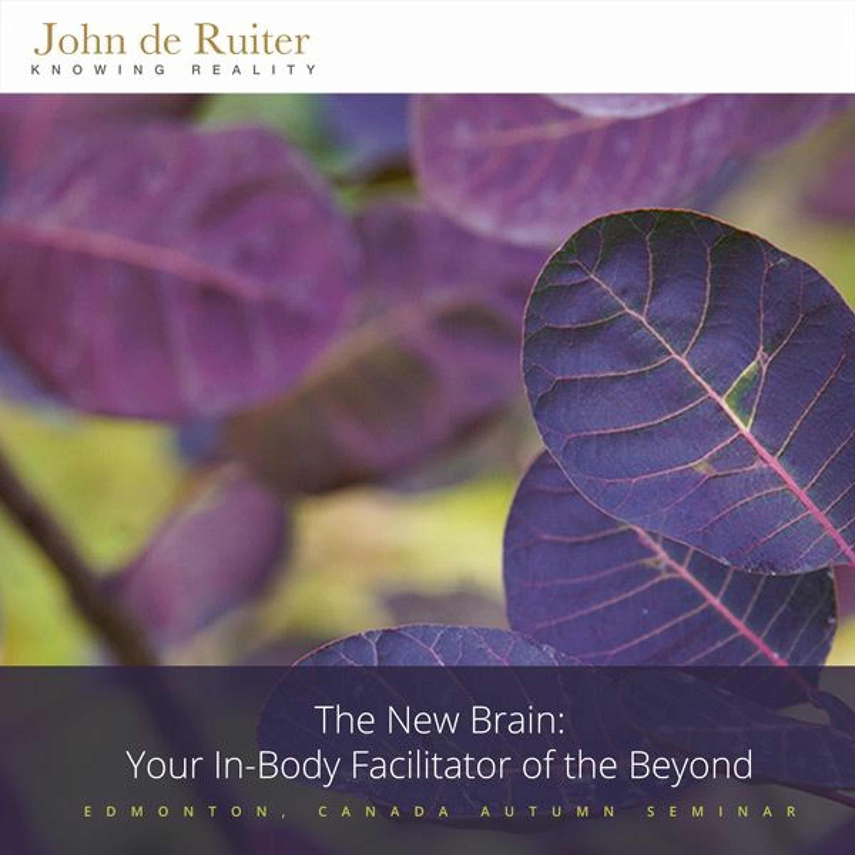 348 - The New Brain: Your In-Body Facilitator of the Beyond - 2 of 2 episode artwork