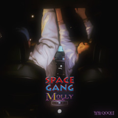 SPACE GANG MOLLY
