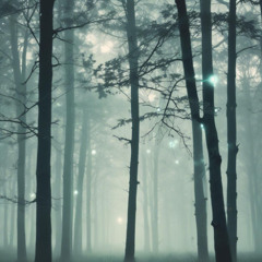 Whispers Through the Veil