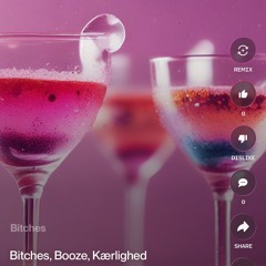 bitches,-booze,-kærlighed.mp3