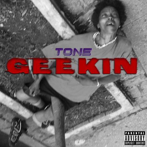 tony tone  geekin