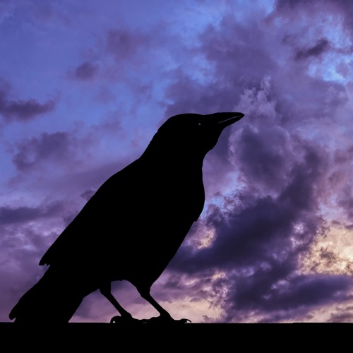 Stream The Raven Queen [Excerpt] by Michael Picher | Listen online for ...