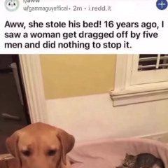 DINGLE DISS 😈🔥