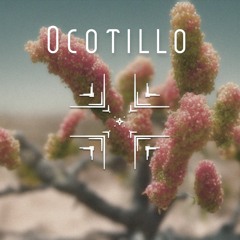 Electrolyte Orchestra - Ocotillo
