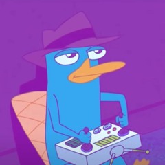 You Controlled in the Wrong Platypus (ORIGINAL MASHUP)