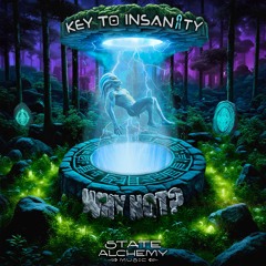 Key To Insaniity - Up All Night | 168 BPM
