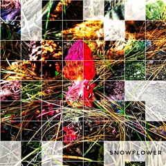 Snowflower (Peace Sine x Illusion Weaver x Soulstice)