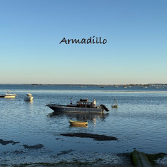 Armadillo