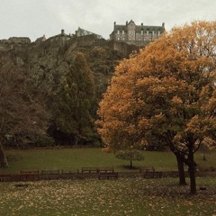 fleurs d'automne